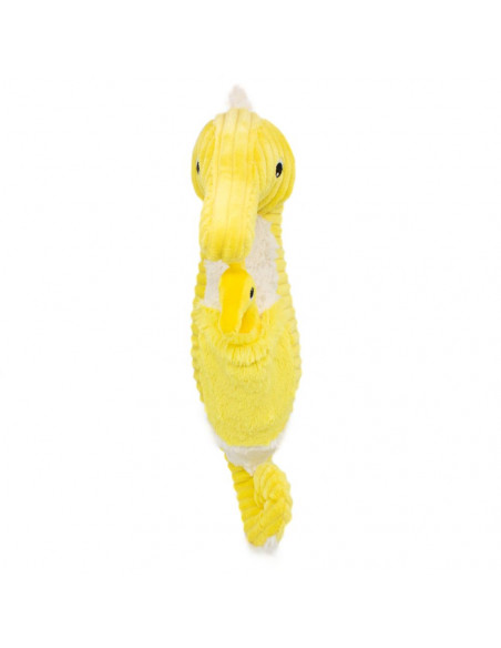 Caballito de mar amarillo ptipotos Déglingos